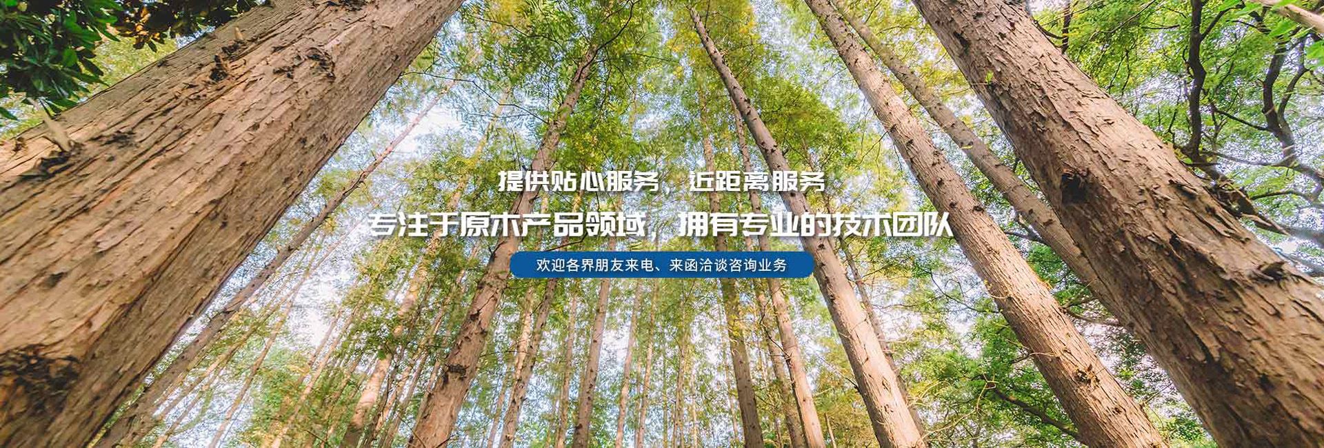 哈爾濱木制托盤廠家